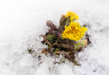 Similar image 21304016