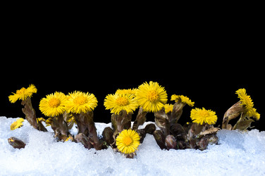 Similar image 21304017