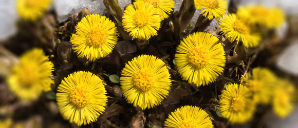 Similar image 21299649