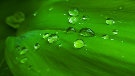 Similar image 21299650