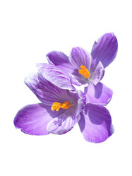 Similar image 21299652