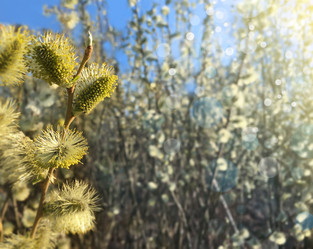 Similar image 21299654