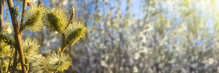 Similar image 21299655