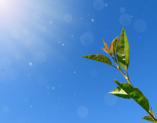 Similar image 21299657