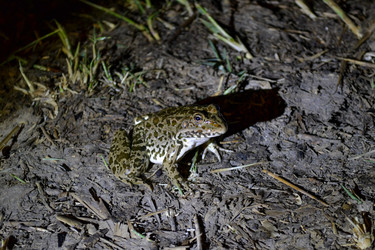 Similar image 21299040