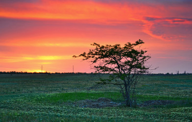 Similar image 21299042