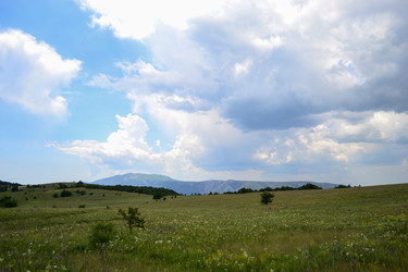 Similar image 21299046