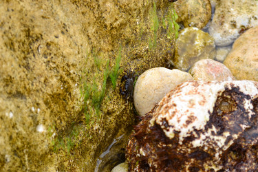 Similar image 21299119