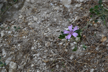 Similar image 21299049