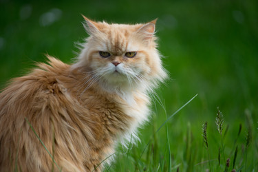 Similar image 21293296