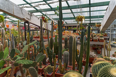 Similar image 21298421