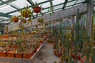 Similar image 21298422