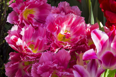 Similar image 21298423