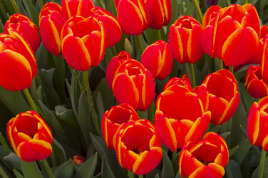 Similar image 21298424