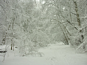 Similar image 21298430