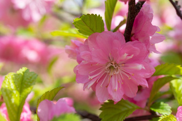 Similar image 21293299