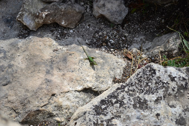 Similar image 21299082