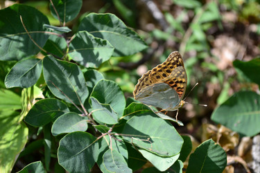 Similar image 21299084