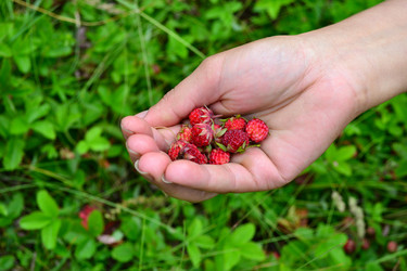 Similar image 21299085