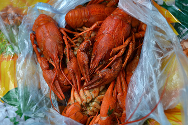 Similar image 21299086