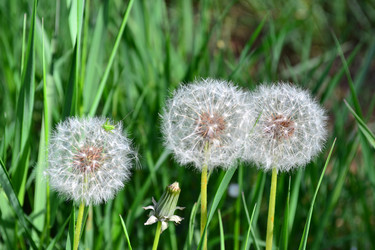 Similar image 21299088