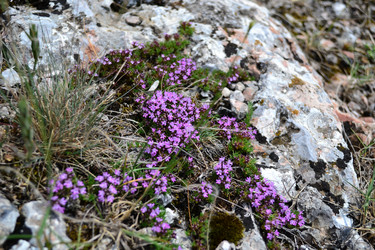 Similar image 21299022