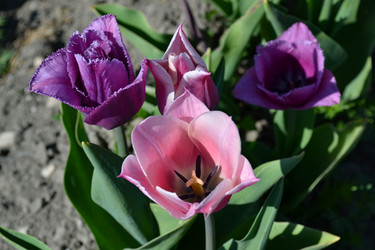 Similar image 21299023