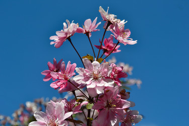 Similar image 21299025