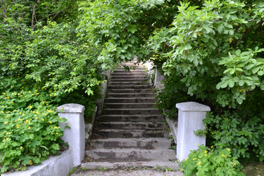 Similar image 21299028