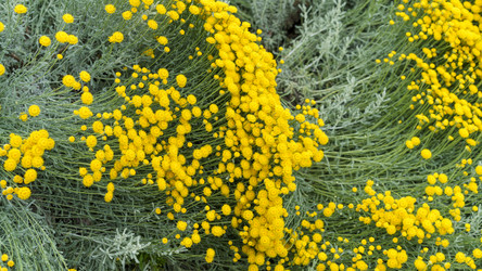 Similar image 21294312