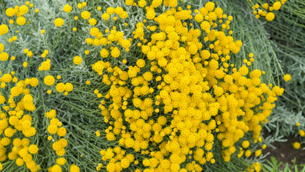 Similar image 21303542