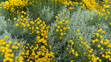 Similar image 21296680