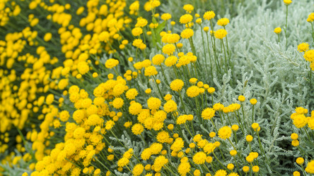 Similar image 21293399