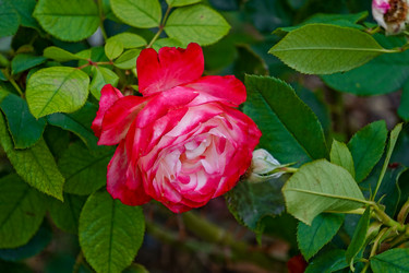 Similar image 21293326