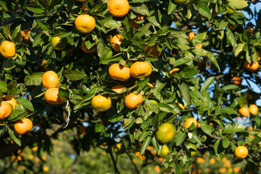 Similar image 21294126