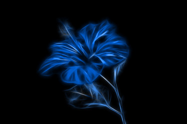 Similar image 21293331