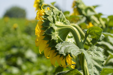 Similar image 21294128