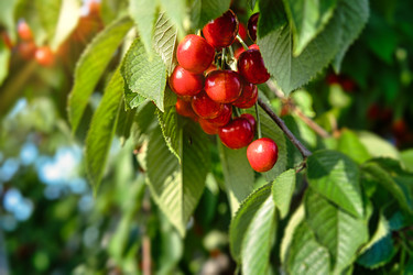 Similar image 21293335