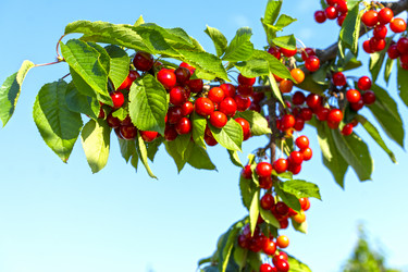 Similar image 21293336