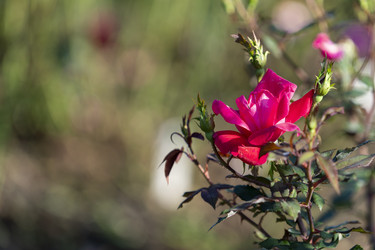 Similar image 21293338