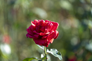 Similar image 21293339