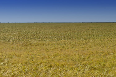 Similar image 21294132