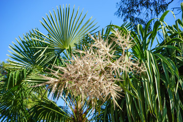 Similar image 21293340