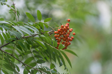 Similar image 21293342