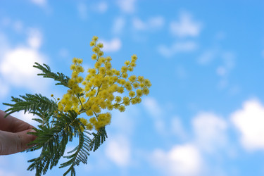 Similar image 21293406