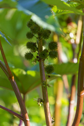 Similar image 21293407