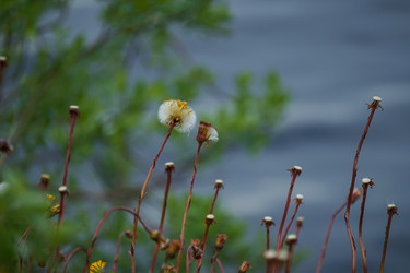 Similar image 21294315