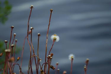 Similar image 21294134