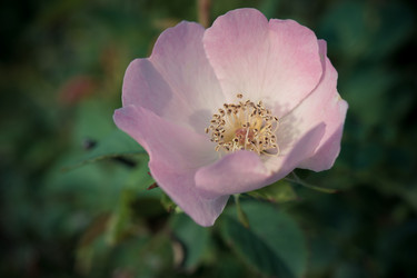 Similar image 21293345