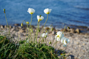 Similar image 21293346